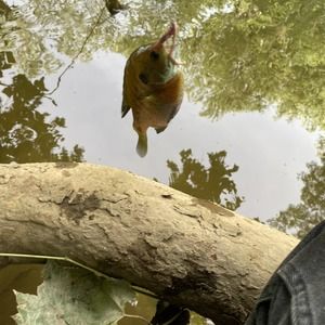 Meet your Posher, Wes